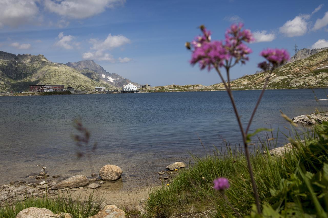 Hotel Grimsel Passhoehe Обервалд Екстериор снимка